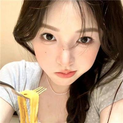 至高指令