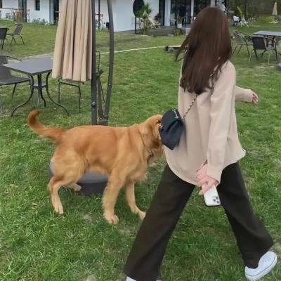 卫斯理之老猫